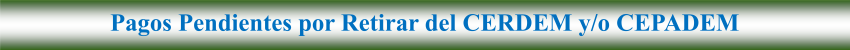 CERDEM-CEPADEM.png
