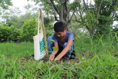 V Jornada de Reforestación en Panamá Este (4).jpg
