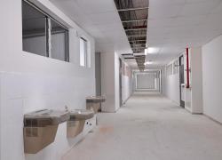 AA