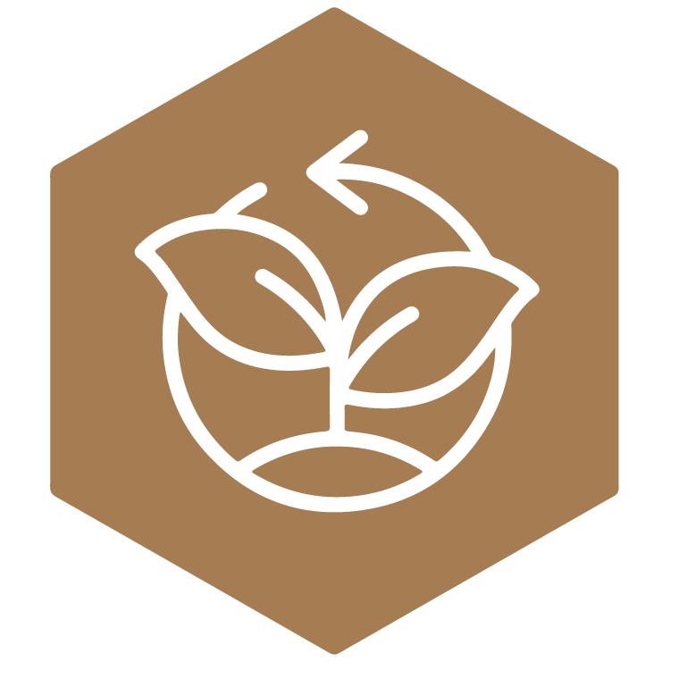 Agropecuaria