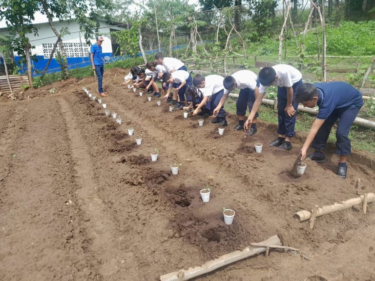 El Centro Educativo John F. Kennedy prepara terrenos para la siembra