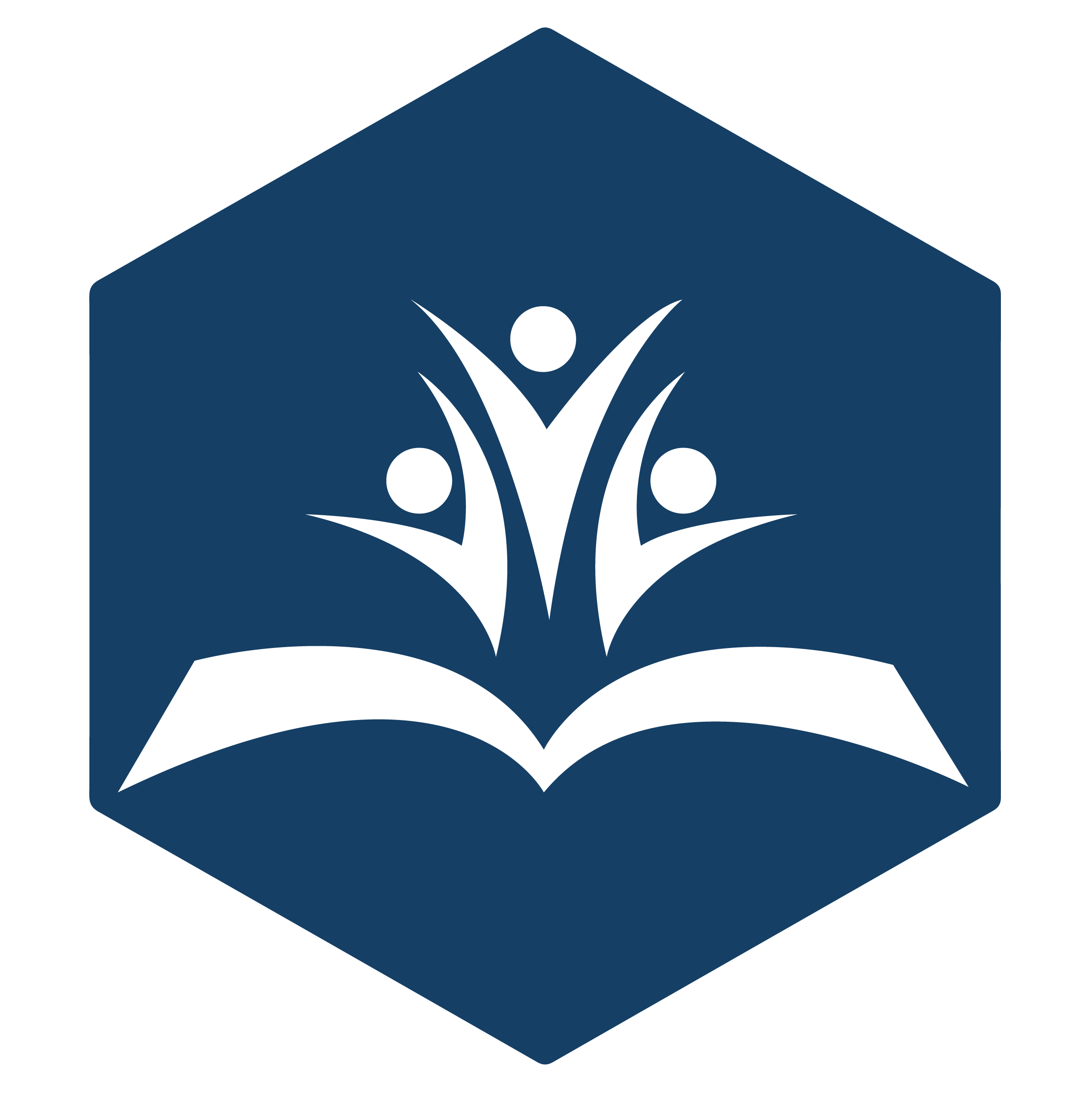 Psicoeducativo